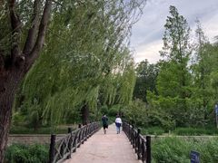 -元大都城垣遗址公园