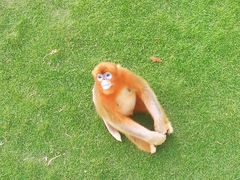 -西霞口神雕山野生动物世界