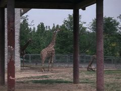 -石家庄市动物园