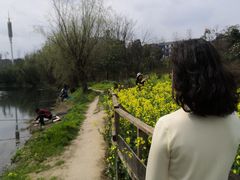 -贵阳市花溪国家城市湿地公园