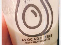 -油梨树 AVOCADO TREE(亮马桥店)