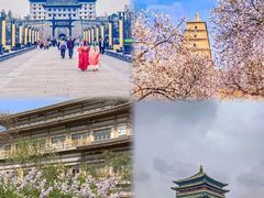 -醉长安(钟楼旗舰店)