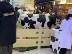 -红星前进面包牛奶公司(君太店)