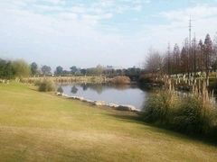 -九里河湿地公园