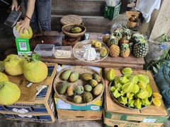 -中国科学院西双版纳热带植物园