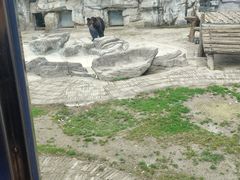 -黔灵山公园