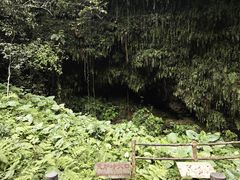 -海口火山口国家地质公园