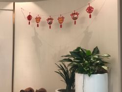 点击看大图 -丽美妍医疗美容·皮秒·立体分层抗衰