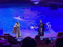 -海合安武汉极地海洋公园