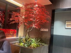 -杏花村水席楼·洛阳水席(老城十字街店)