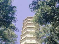 -深圳国际园林花卉博览园