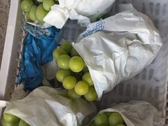 -马陆小张葡萄园农家乐