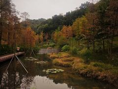-云溪植物园