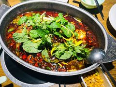 -黔渔翁豆花渎鱼(喷水池店)