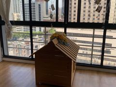 -Husky Go! 哈士奇体验馆·宠物咖啡厅狗咖