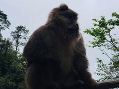 -峨眉山风景名胜区