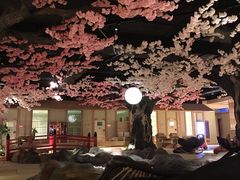 -蓝鲸湾汤泉(包河店)