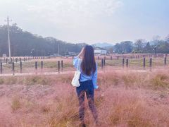 -董寨国家级自然保护区白云保护站