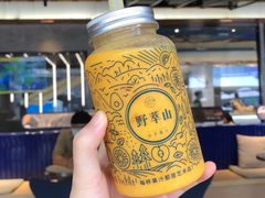 -野萃山·潮汕厚果汁(十亩地店)