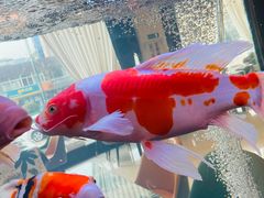 -老虎滩船说·大连海鲜(老虎滩店)