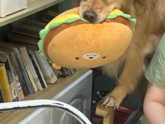 -严国平动物医院(德政总院)