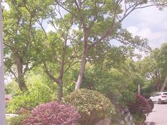 -上海崇明金茂凯悦酒店