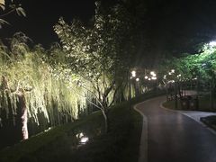 -嘉定紫藤园