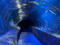 -太平洋海底世界