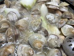 -顺德哥卜卜贝(旗舰店)