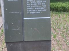 -南长河公园