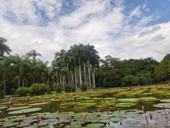 -中国科学院西双版纳热带植物园