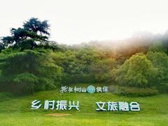-树山生态村