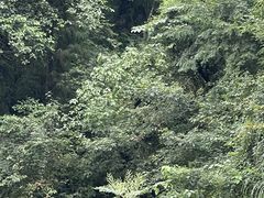 -崇州九龙峡漂流