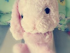 -LLJ夹机占(清河万象汇店)