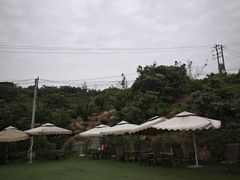 -桃源山庄·水蜜桃采摘·柴火鸡·烧烤团建(龙泉山店)