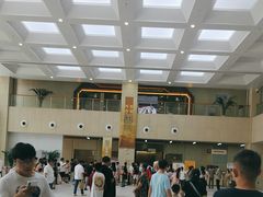 -广西壮族自治区博物馆