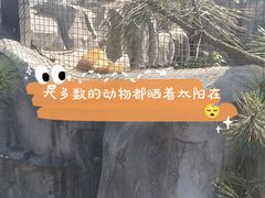 -武汉动物园