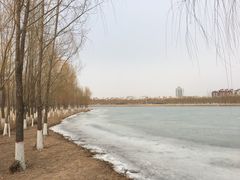 -香山公园