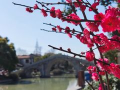 -长兴菜馆(高桥店)