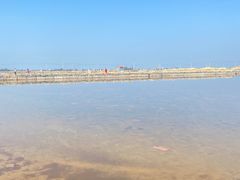 -莺歌海盐场