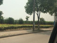 -胜华驾校·小猫学车(银都店)