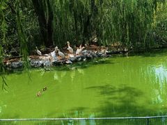 -北京海洋馆