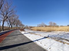 -大兴滨河森林公园