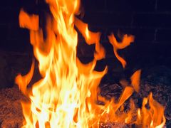 -上海市龙华烈士陵园