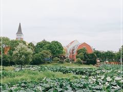 -美兰湖景区
