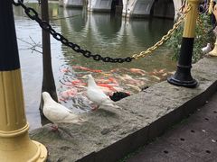 -茵特拉根酒店·西餐厅