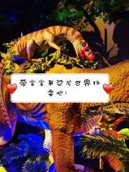 -恐龙探索乐园(磁器口店)