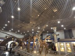 -国家自然博物馆