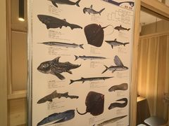 -镹·鱼料理  国产鱼使用店