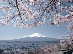 -张家界天门山国家森林公园
